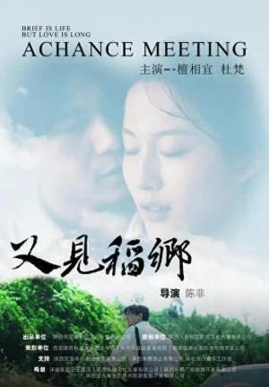 又见稻乡