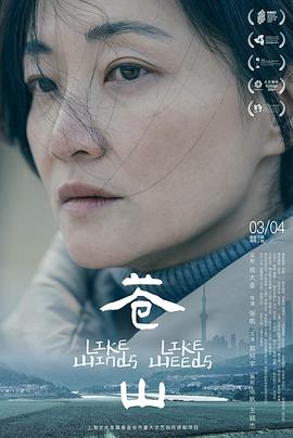 苍山2025