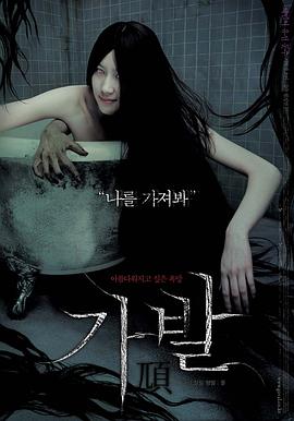 假发2005