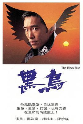 黑鸟1995